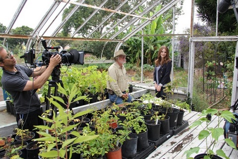A group of people doing some shooting in a garden.